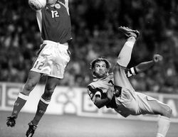 Валерий МИРСКИЙ