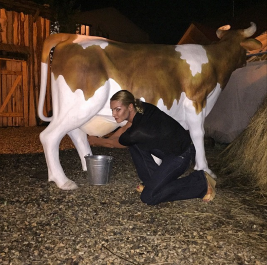 Пластиковую корову доить несложно