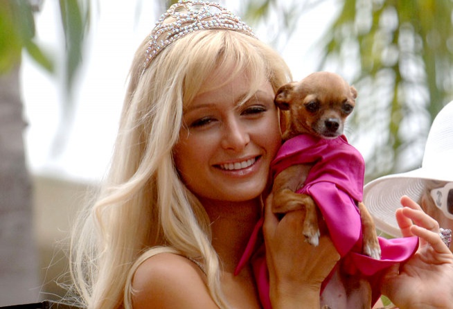 Пэрис Хиллтон не расставалась с Тимбербэлл Фото: bravotv.com