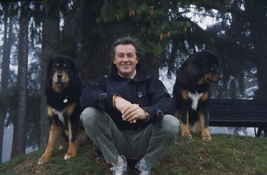 Делон мечтает, чтобы его похоронили на кладбиже животных Фото: vivo-animals.org