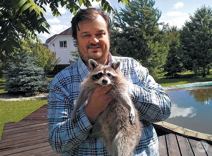 Енота Уткина зовут Енот Фото: smotrisport.tv