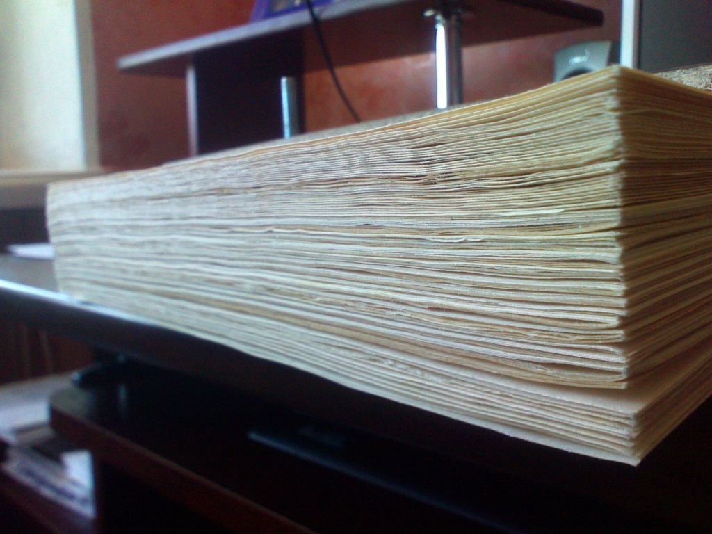 Родственники Фредерики думали, что она пишет книгу Фото: demiart.ru