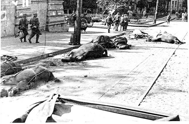 Разбитый обоз и мертвые лошади возле Художественного музея на улице Кирова (сейчас Грушевского), Киев, осень 1941 года. «Во все стороны от Киева по дорогам — кладбища машин, кладбища скота»