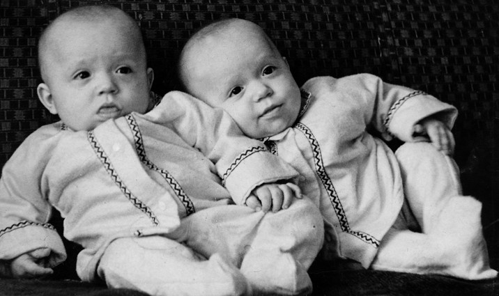 Близнецы-братья, 1962 год