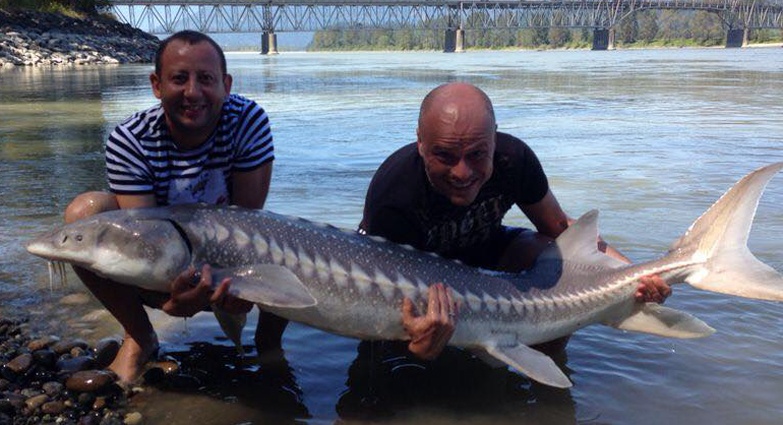 С другом Владимиром Генинсоном. «Как нам объяснили, осетру такого размера должно быть около 95 лет»
