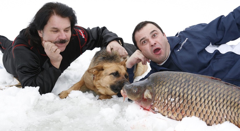 С Виктором Павликом. «Жанр популярной музыки всегда был, есть и будет»