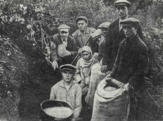 Колхозники экспроприируют спрятанное крестьянами зерно, село Богдановка Павлоградского района, 1930 год